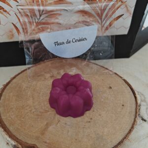 Fondants parfumés "Fleur de Cerisier"